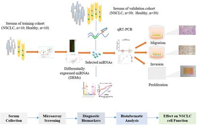 Serum MiR-4687-3p Has Potential for Diagnosis and Carcinogenesis in Non-small Cell Lung Cancer